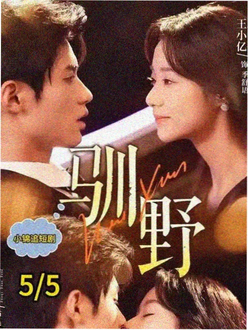 非自然死亡 - 青柠影院电视剧在线播放